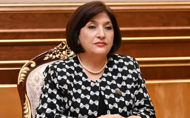 Sahibə Qafarova Azərbaycanın TÜRKPA-ya sədrliyi barədə hesabat verib