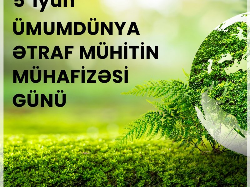 Ombudsman Aparatının nümayəndəsi Vyana şəhərində keçirilən beynəlxalq tədbirdə iştirak edib