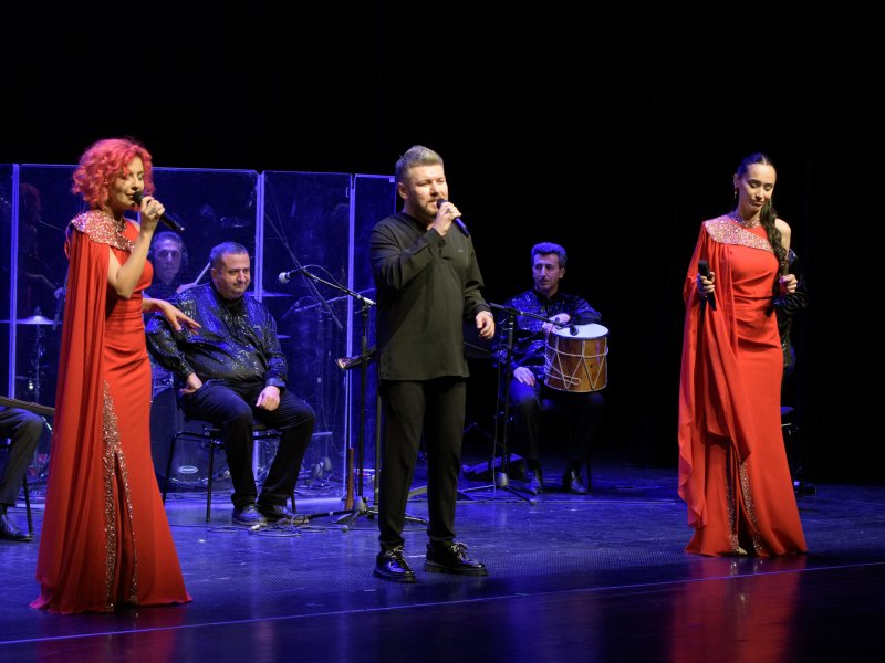 Vyanada “Alov ritmləri” adlı konsert keçirilib