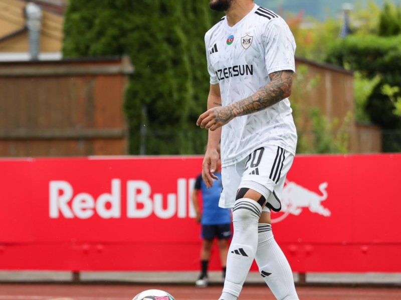 Avstriyadakı soydaşlarımızdan “Qarabağ”a dəstək