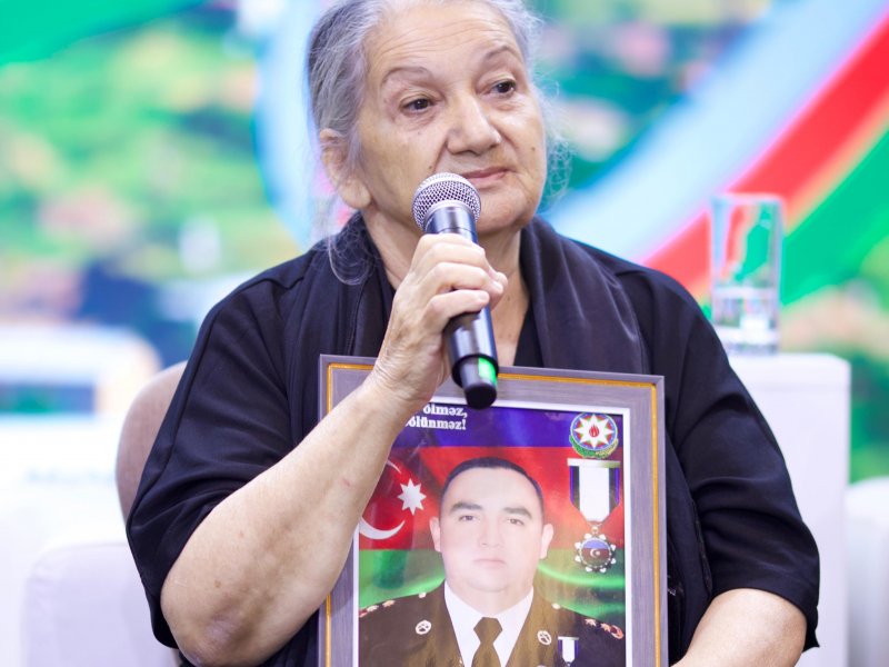 Şəhid ailələri və Qarabağ fatehləri diaspor gənclərinin yay düşərgəsində