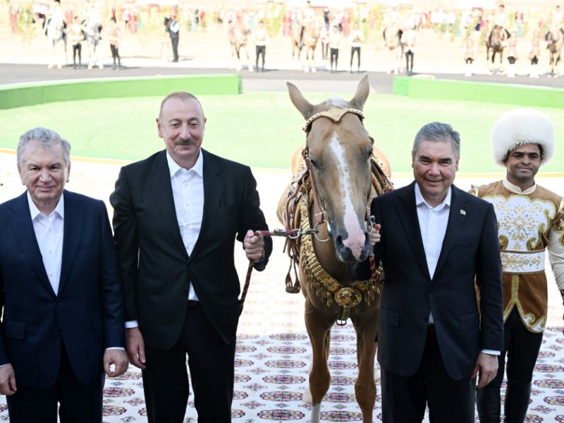 Azərbaycan Prezidenti İlham Əliyevə “Axaltəkə” atı hədiyyə edilib