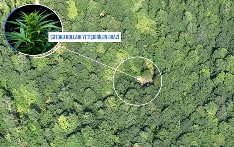Balakəndə polis dağlarda əməliyyat keçirib, silahlı şəxslər həbs olunub