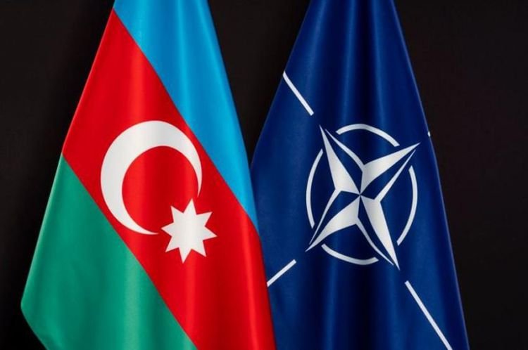Azərbaycan və NATO arasında tərəfdaşlığın gələcək inkişafı müzakirə olunub