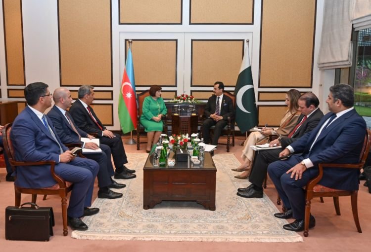 Sahibə Qafarova Pakistan Senatının sədri ilə görüşüb
