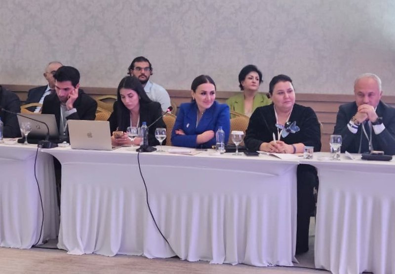 Antalyada xaricdəki Azərbaycan Evlərinin təqdimatı keçirilib