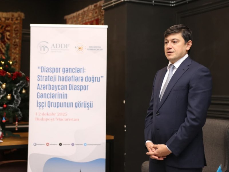 Budapeştdə diaspor gənclərinin toplantısı keçirilib