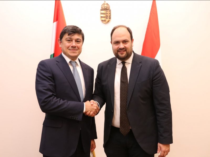 Macarıstanın Milli siyasət üzrə dövlət katibi ilə diaspor sahəsində əməkdaşlıq müzakirə olunub