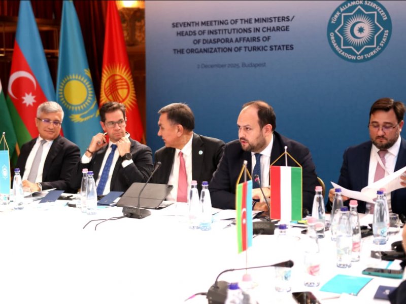 Diaspora dair Birgə Fəaliyyət Planı qəbul olunub