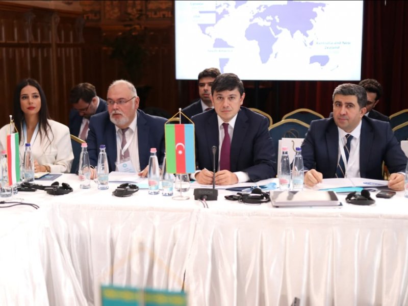 Diaspora dair Birgə Fəaliyyət Planı qəbul olunub