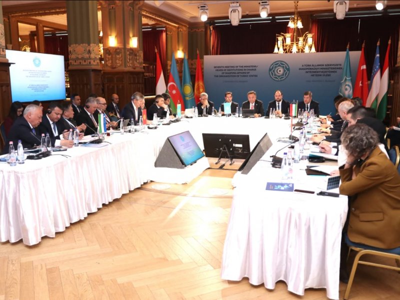 Diaspora dair Birgə Fəaliyyət Planı qəbul olunub