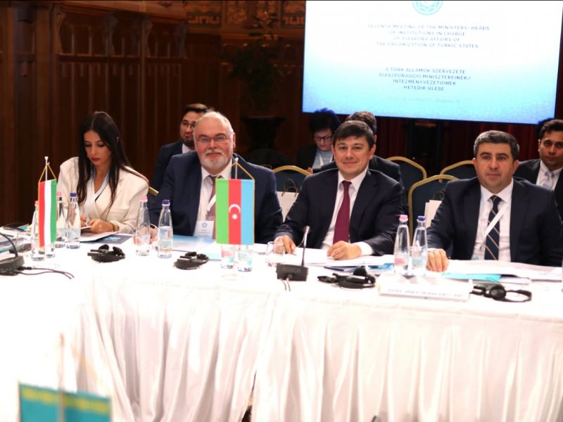 Diaspora dair Birgə Fəaliyyət Planı qəbul olunub