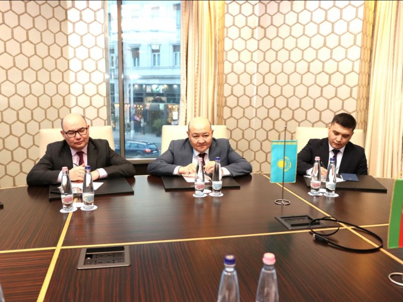 Azərbaycanın diaspor təcrübəsi yüksək qiymətləndirilib 