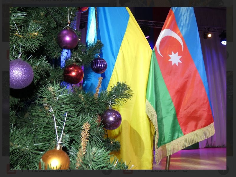 Ukraynadakı soydaşlarımız Həmrəylik Günündə bir araya gəliblər