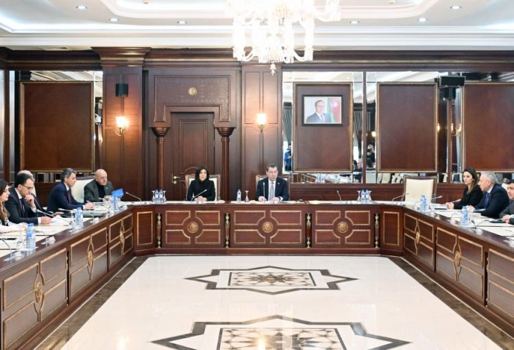 Milli Məclisin Beynəlxalq münasibətlər komitəsinin yaz sessiyasında ilk iclası keçirilib