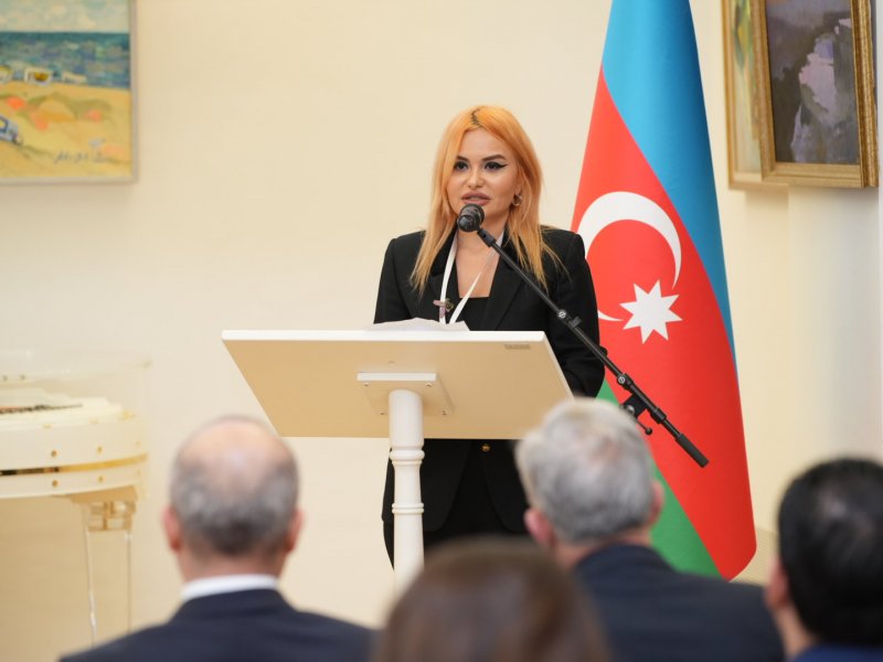 Vyanada TDT-yə üzv ölkələrin diaspor qurumlarının nümayəndələri bir araya gəlib
