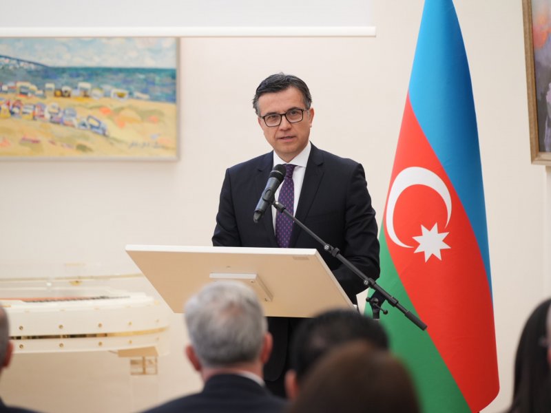 Vyanada TDT-yə üzv ölkələrin diaspor qurumlarının nümayəndələri bir araya gəlib