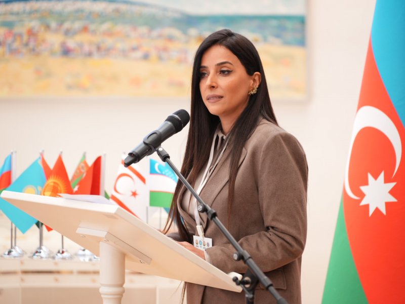 Vyanada TDT-yə üzv ölkələrin diaspor qurumlarının nümayəndələri bir araya gəlib