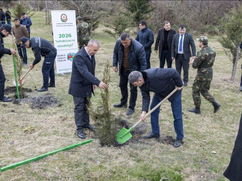 QAX RAYONUNDA AĞACƏKMƏ AKSİYASI KEÇİRİLİB.