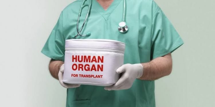 Azərbaycanda beyin ölümü keçirmiş 13 meyid donordan 73 orqan və toxuma transplantasiya edilib