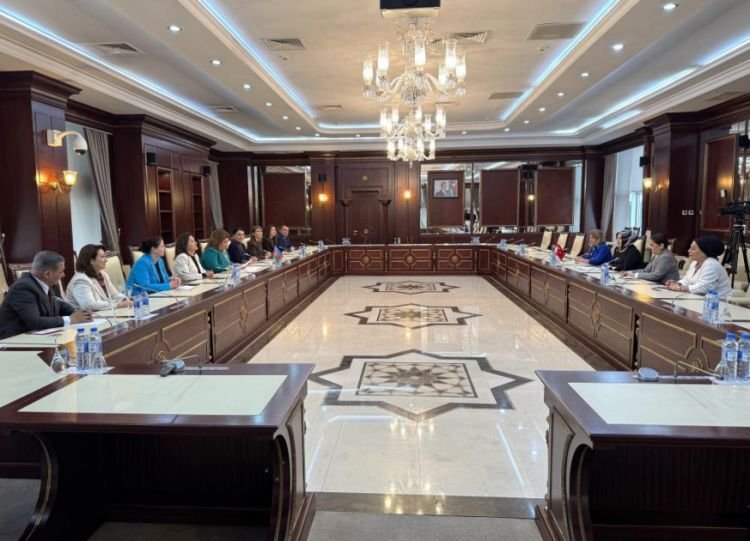 TBMM-in Qadın və kişi bərabərliyi komissiyasının üzvləri Milli Məclisdə olublar