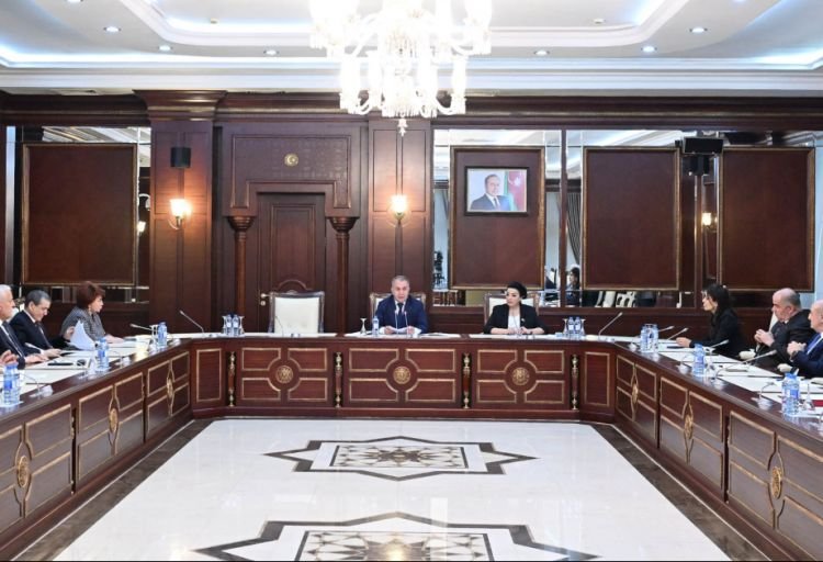 Kənd təsərrüfatı torpaqlarında istehsala mane olan yaşıllıqların götürülməsi sadələşdirilir