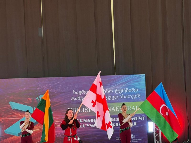 GAİM gimnastları Tbilisidəki festivalda uğurla çıxış edib