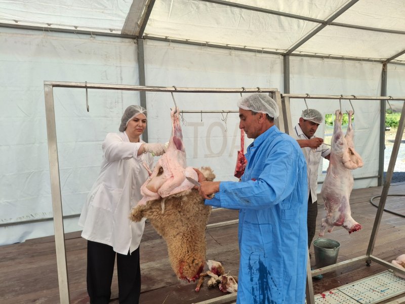 Qurban bayramı ilə əlaqədar Balakəndə heyvan kəsimi məntəqəsi fəaliyyətə başlayıb Qurban bayramı ilə əlaqədar Balakəndə heyvan kəsimi məntəqəsi fəaliyyətə başlayıb
