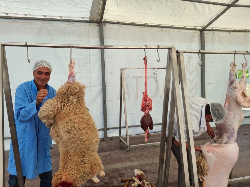 Qurban bayramı ilə əlaqədar Balakəndə heyvan kəsimi məntəqəsi fəaliyyətə başlayıb Qurban bayramı ilə əlaqədar Balakəndə heyvan kəsimi məntəqəsi fəaliyyətə başlayıb