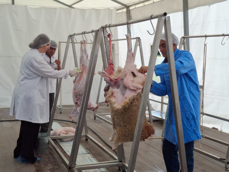 Qurban bayramı ilə əlaqədar Balakəndə heyvan kəsimi məntəqəsi fəaliyyətə başlayıb Qurban bayramı ilə əlaqədar Balakəndə heyvan kəsimi məntəqəsi fəaliyyətə başlayıb